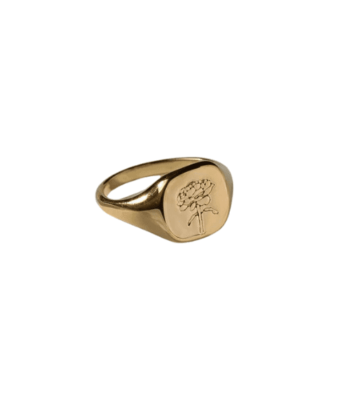 18ct Gold PVD Plated Rose Signet Ring | Leonessa Gold